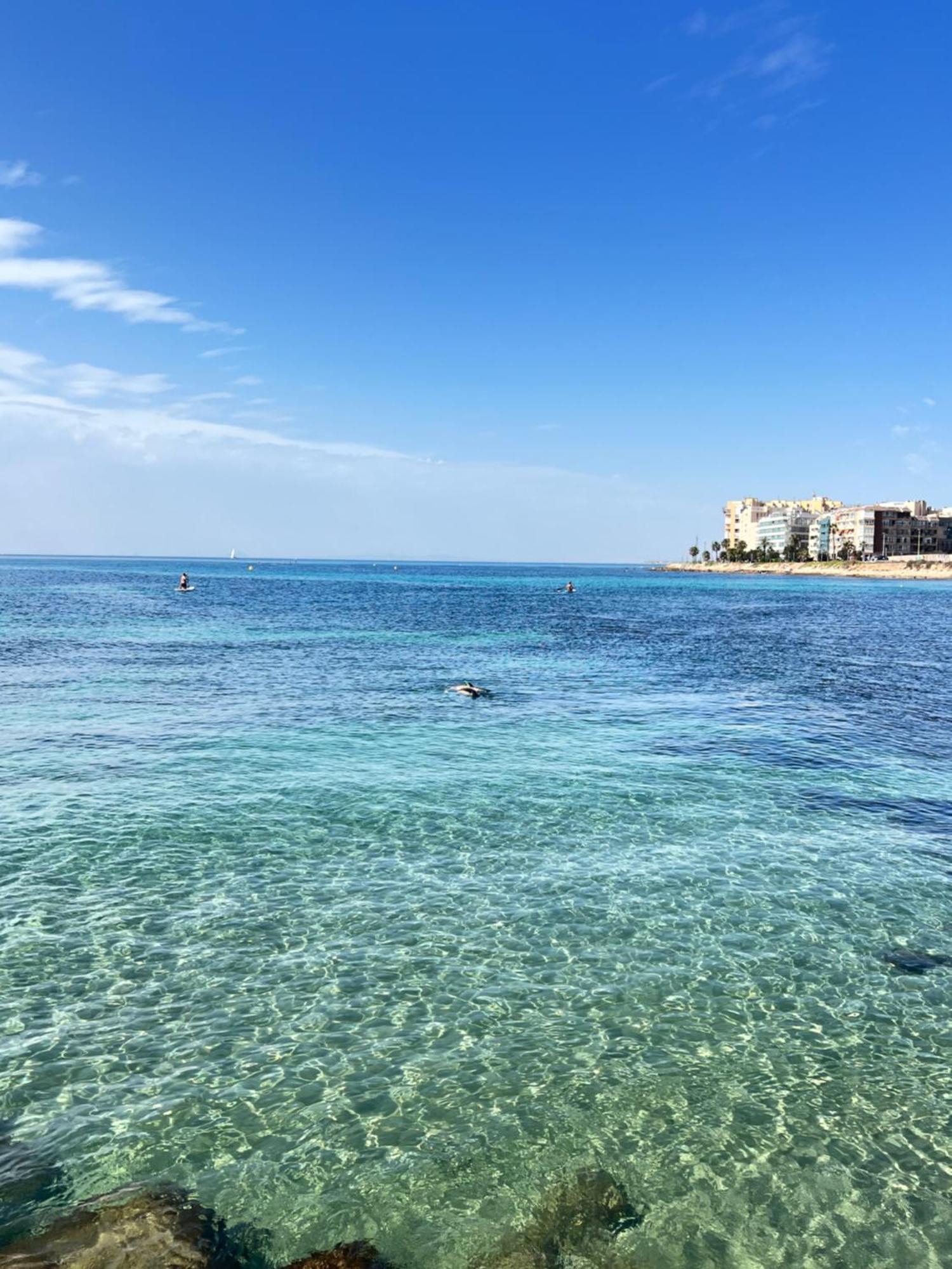 Renovated Cosy Studio 350 M Playa Del Cura, With Official Touristic License Torrevieja Ngoại thất bức ảnh